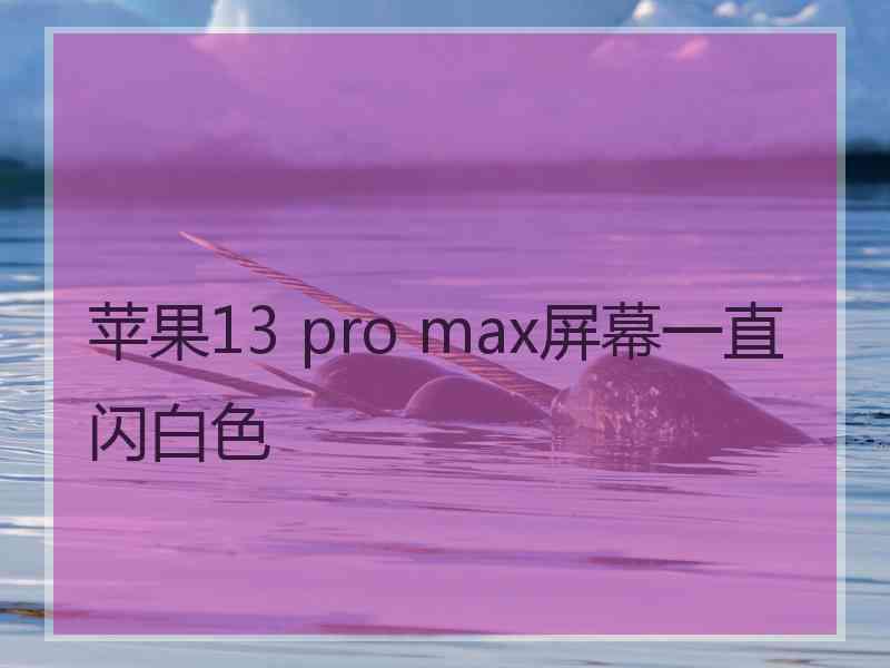 苹果13 pro max屏幕一直闪白色