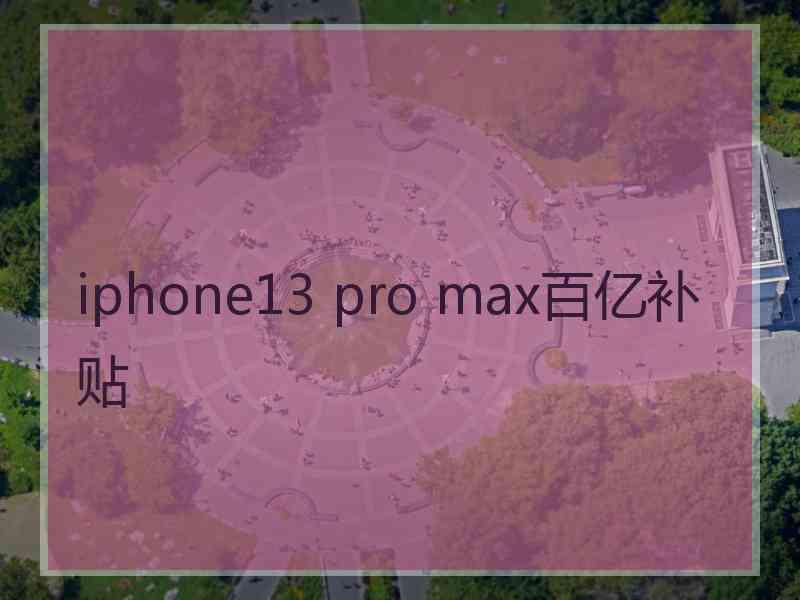 iphone13 pro max百亿补贴