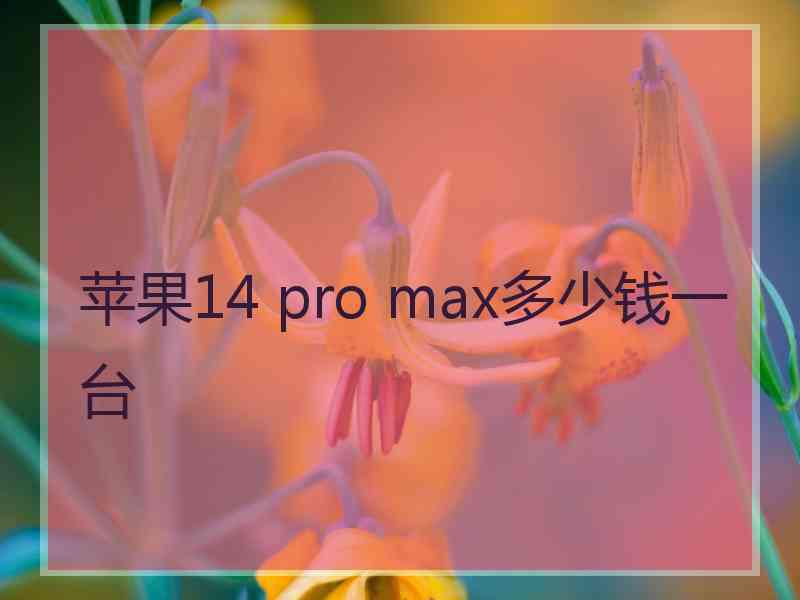 苹果14 pro max多少钱一台