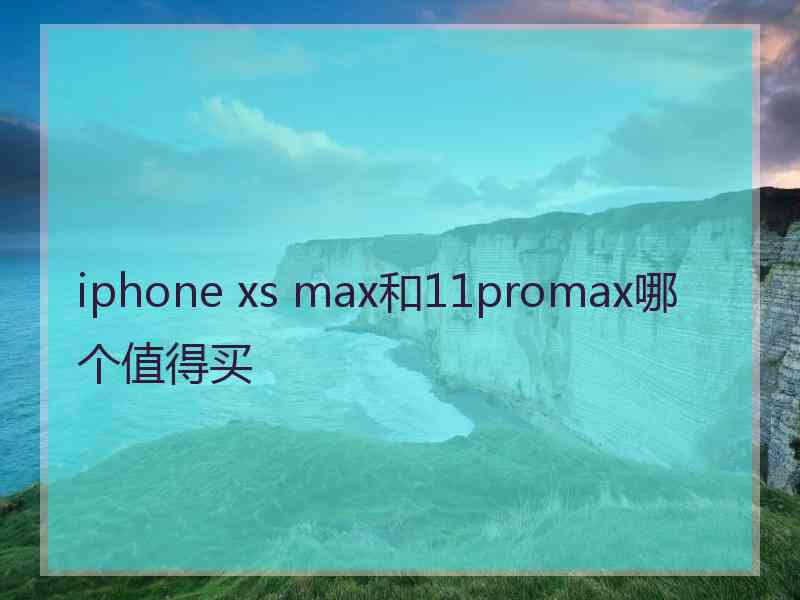 iphone xs max和11promax哪个值得买