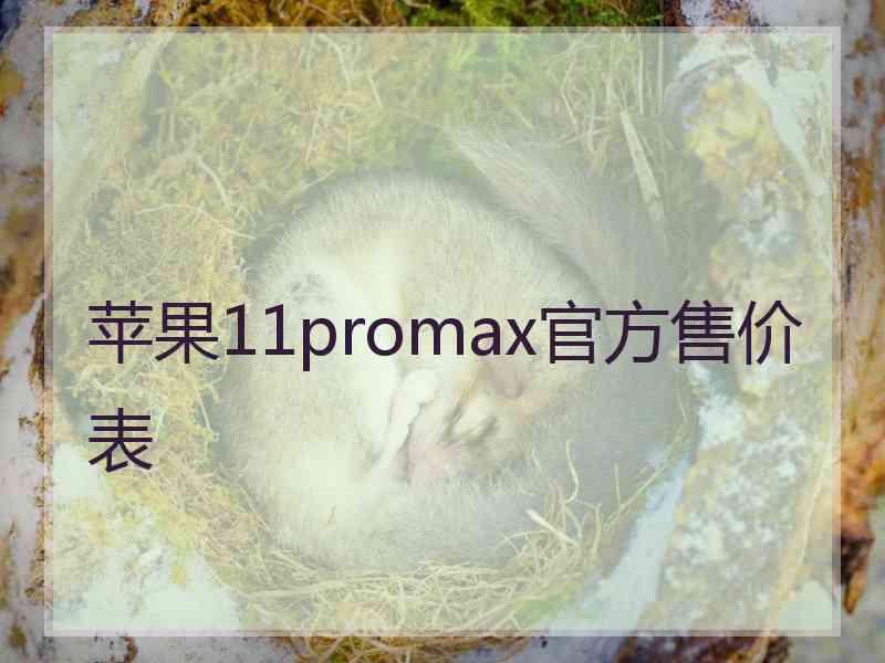 苹果11promax官方售价表