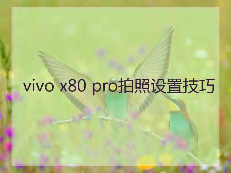 vivo x80 pro拍照设置技巧