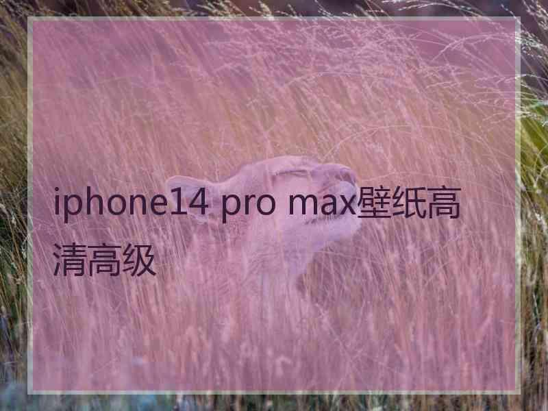 iphone14 pro max壁纸高清高级