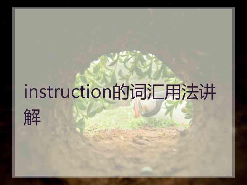 instruction的词汇用法讲解