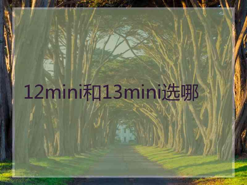 12mini和13mini选哪