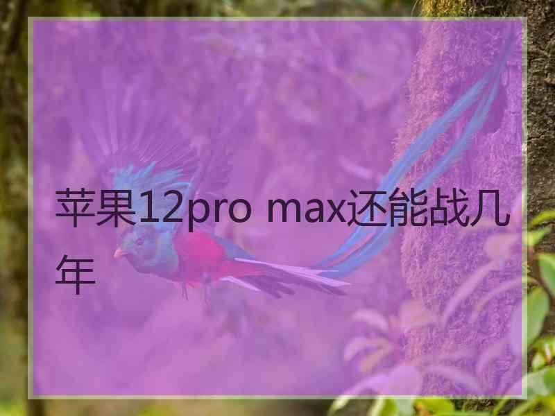 苹果12pro max还能战几年