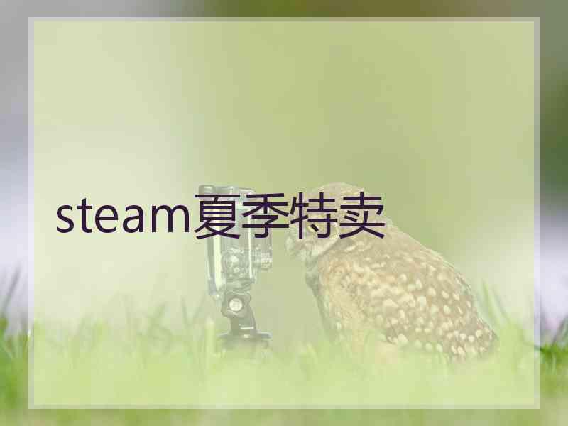 steam夏季特卖