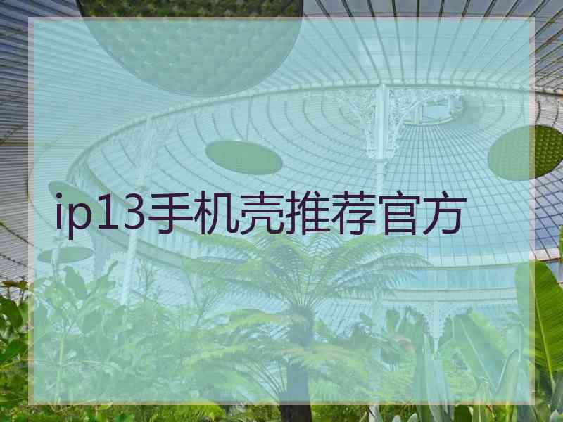 ip13手机壳推荐官方