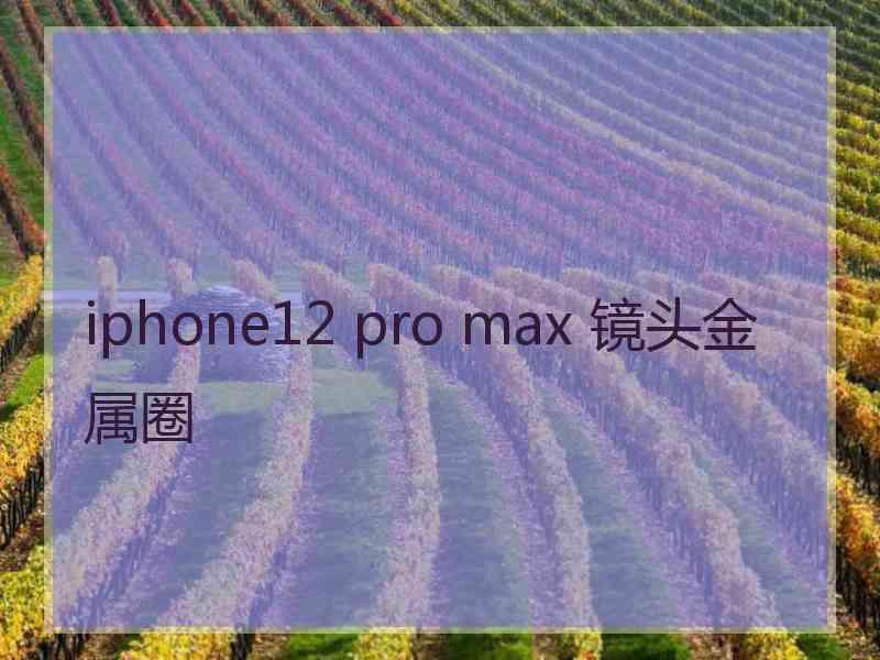 iphone12 pro max 镜头金属圈