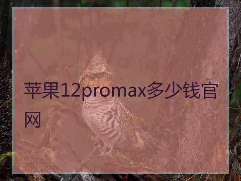 苹果12promax多少钱官网