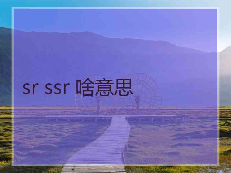 sr ssr 啥意思