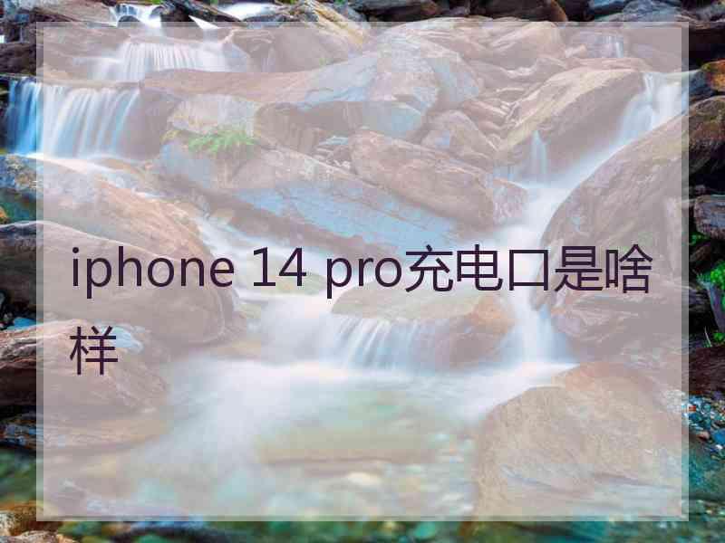 iphone 14 pro充电口是啥样