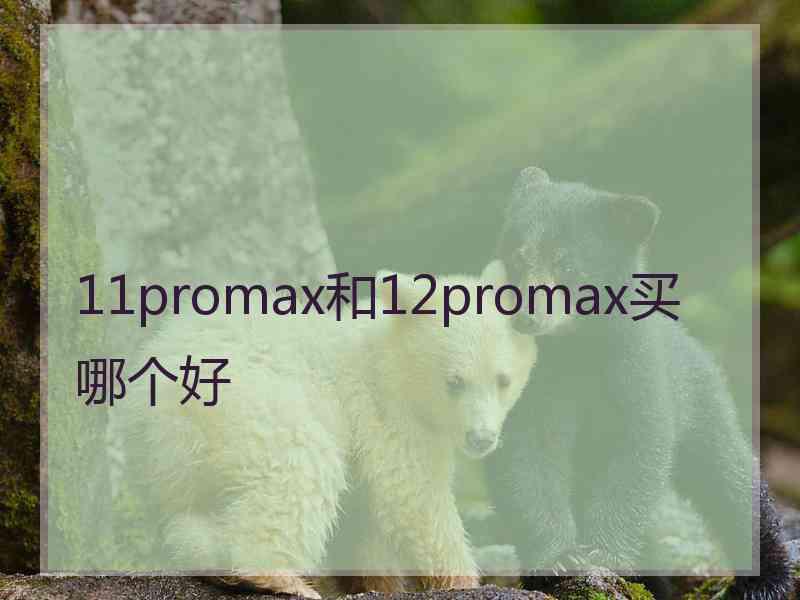 11promax和12promax买哪个好