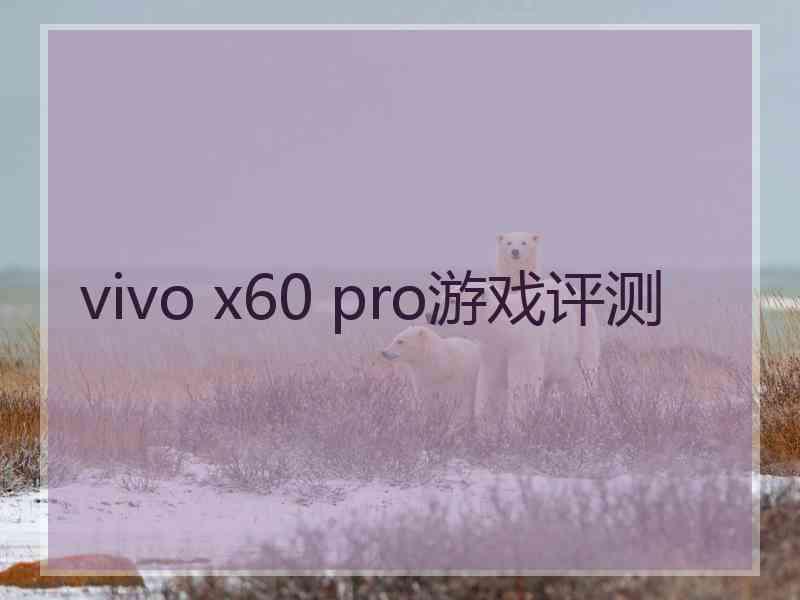 vivo x60 pro游戏评测