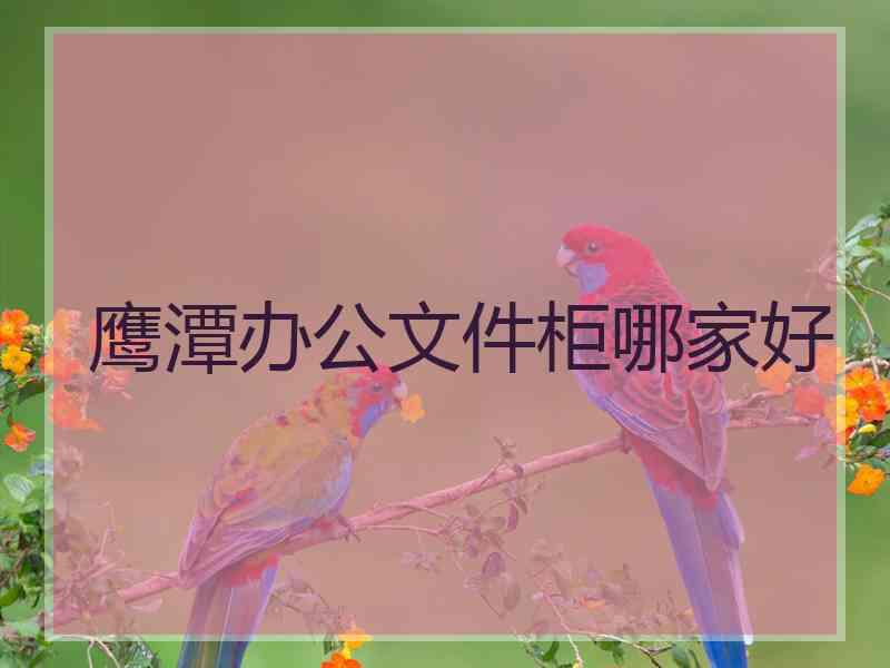 鹰潭办公文件柜哪家好