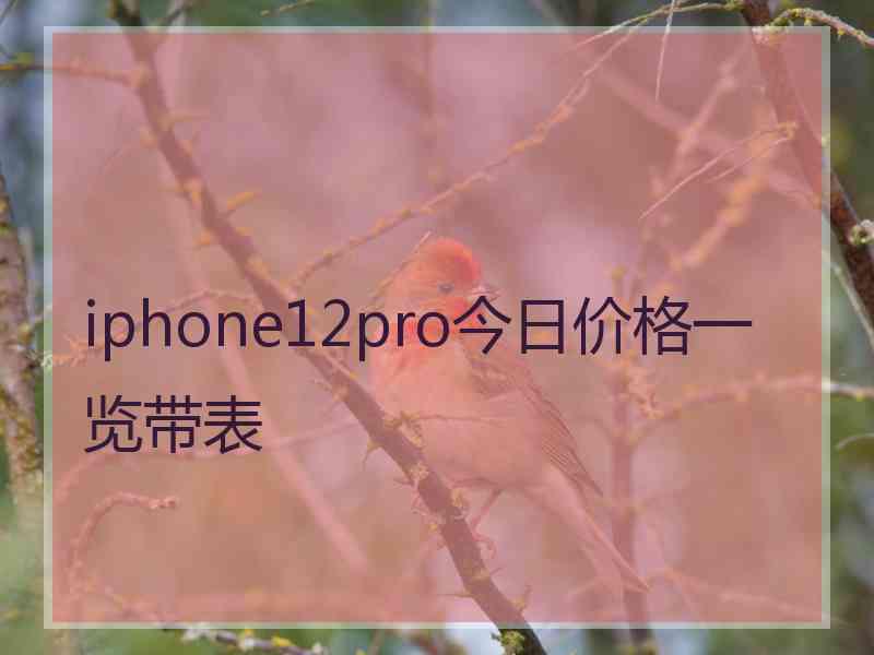 iphone12pro今日价格一览带表