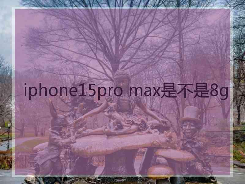 iphone15pro max是不是8g