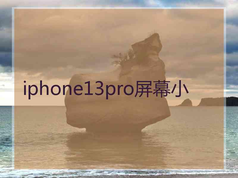 iphone13pro屏幕小