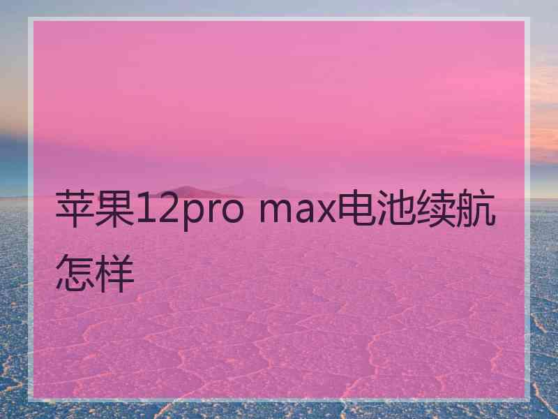 苹果12pro max电池续航怎样