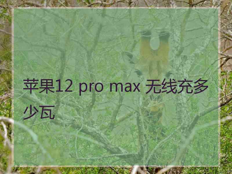 苹果12 pro max 无线充多少瓦