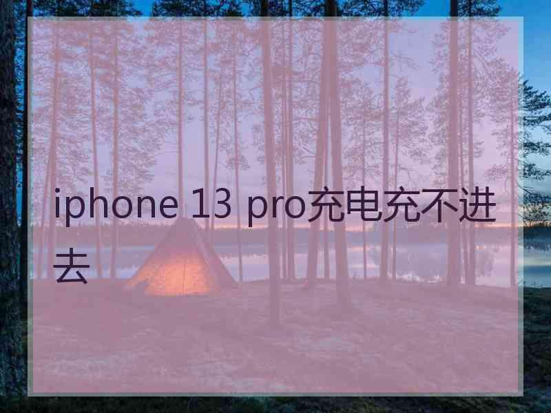 iphone 13 pro充电充不进去