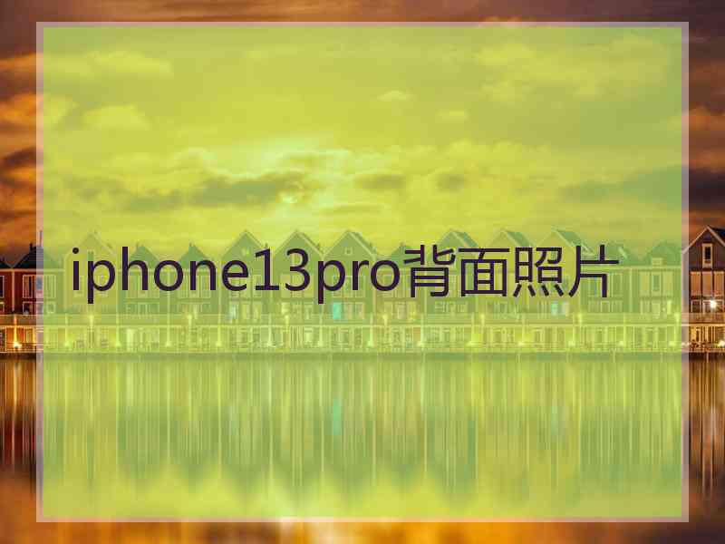 iphone13pro背面照片