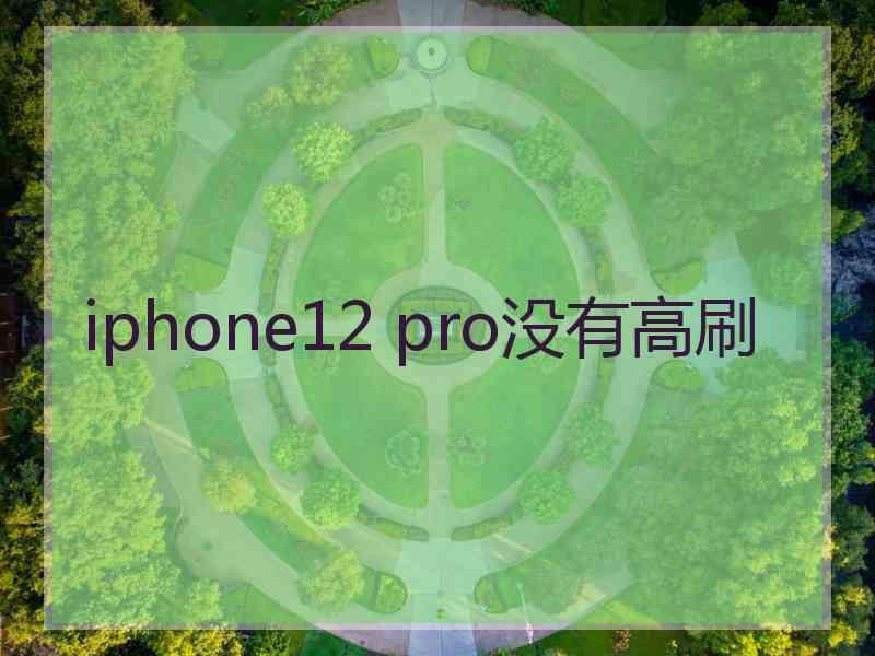 iphone12 pro没有高刷