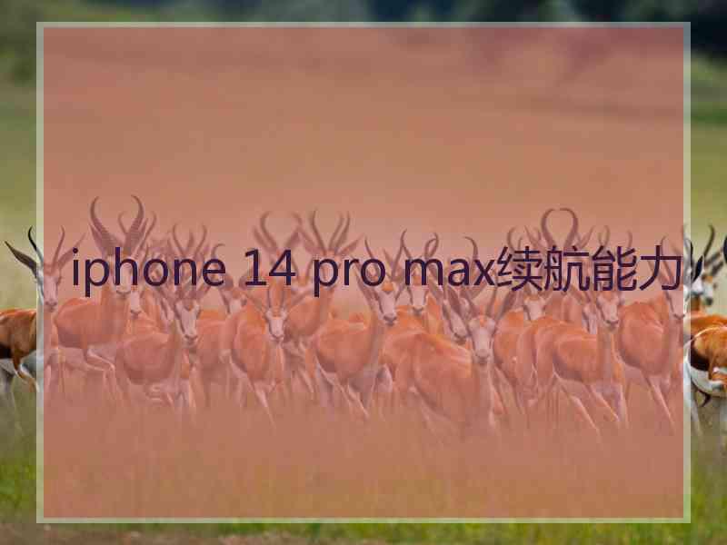 iphone 14 pro max续航能力