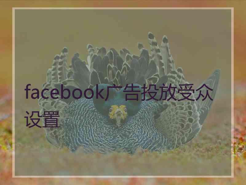 facebook广告投放受众设置