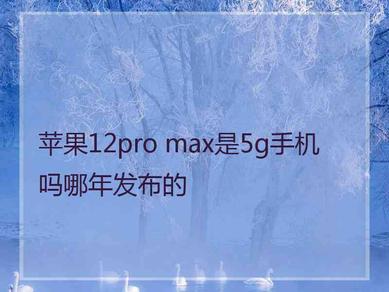 苹果12pro max是5g手机吗哪年发布的