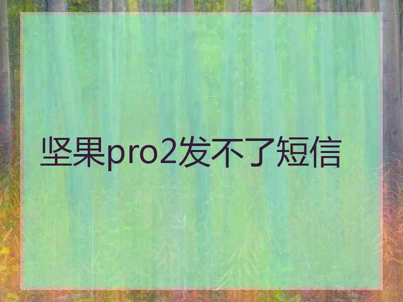 坚果pro2发不了短信