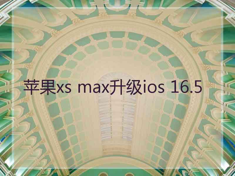 苹果xs max升级ios 16.5