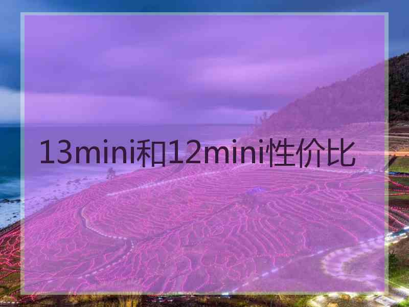 13mini和12mini性价比