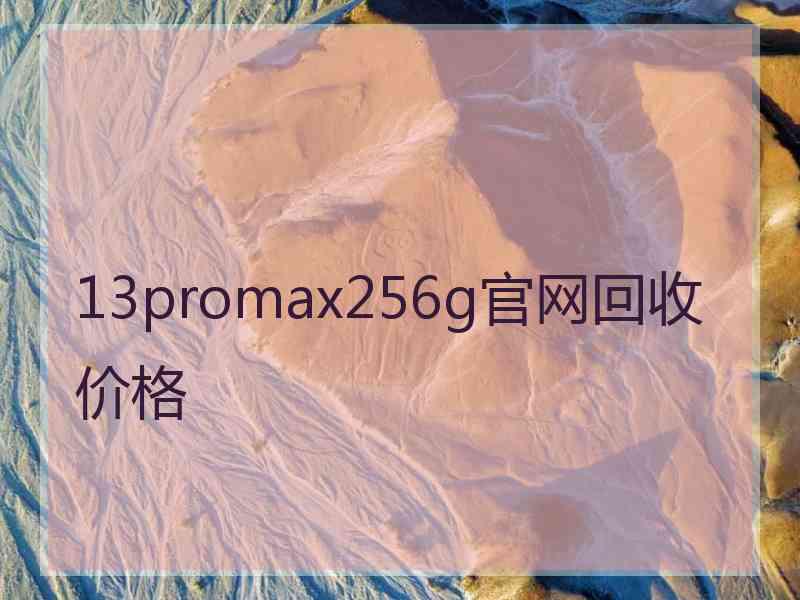 13promax256g官网回收价格