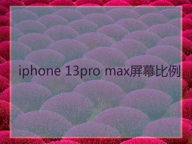 iphone 13pro max屏幕比例