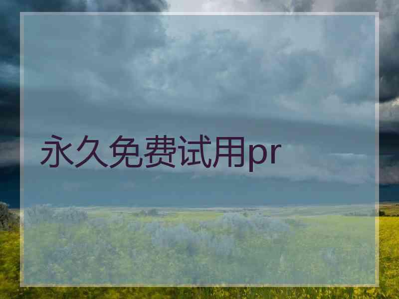 永久免费试用pr