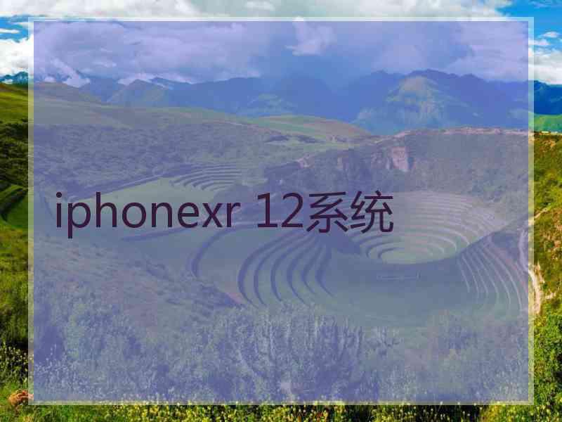 iphonexr 12系统