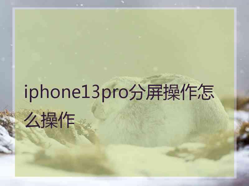 iphone13pro分屏操作怎么操作