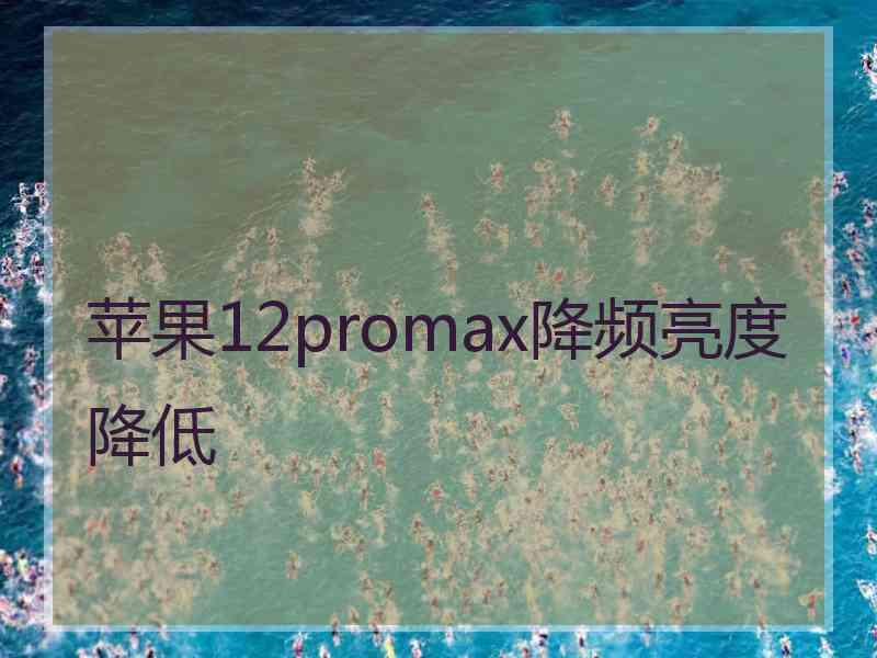 苹果12promax降频亮度降低