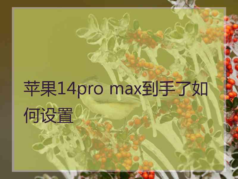 苹果14pro max到手了如何设置