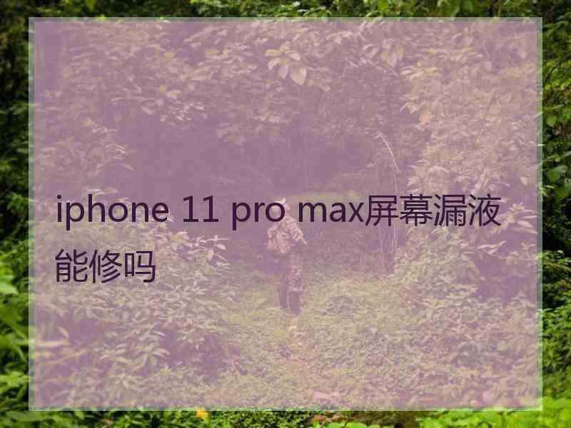 iphone 11 pro max屏幕漏液能修吗