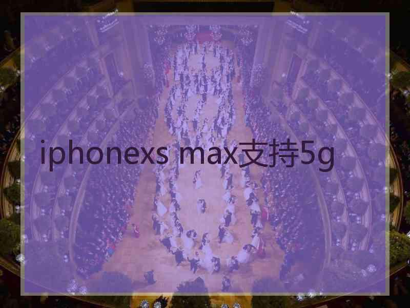 iphonexs max支持5g