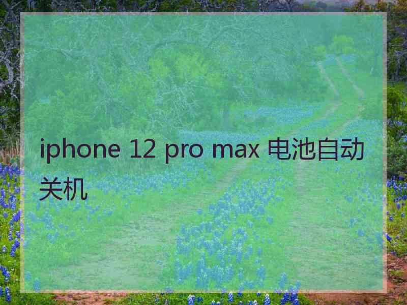 iphone 12 pro max 电池自动关机