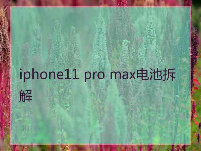 iphone11 pro max电池拆解