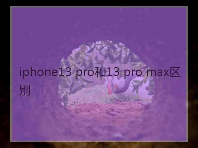 iphone13 pro和13 pro max区别