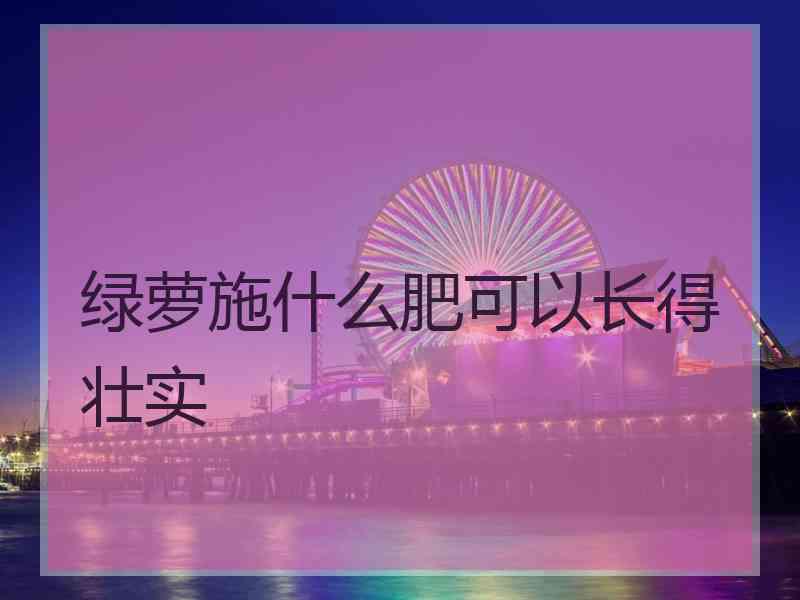 绿萝施什么肥可以长得壮实