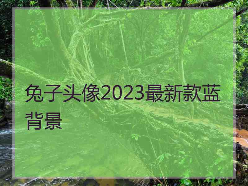 兔子头像2023最新款蓝背景