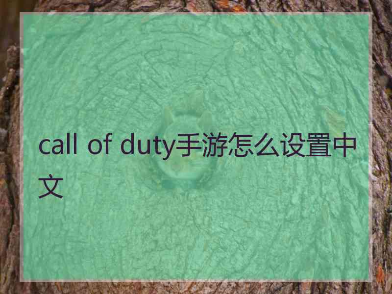 call of duty手游怎么设置中文