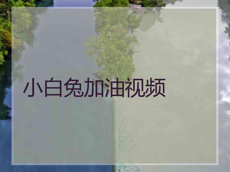 小白兔加油视频