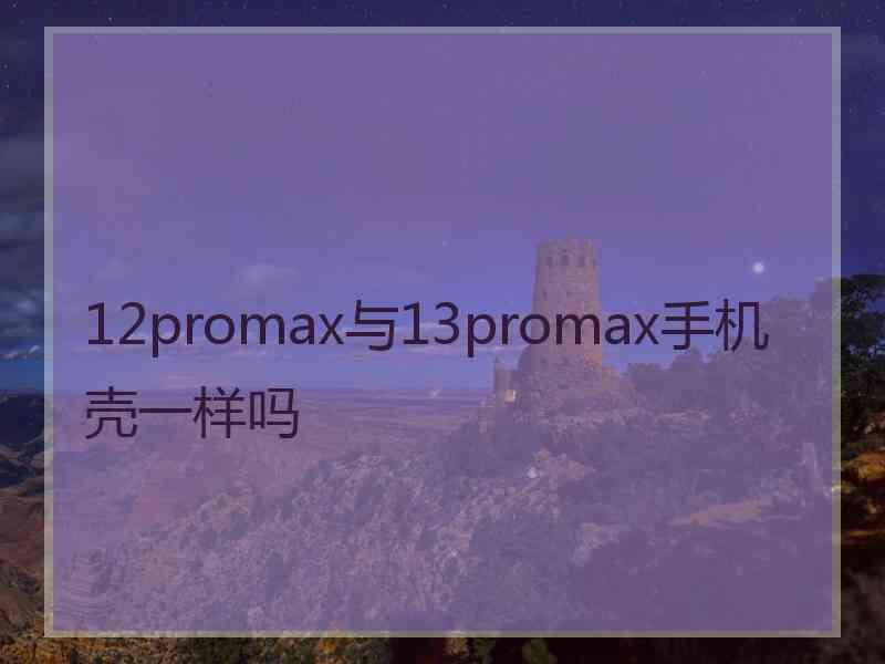 12promax与13promax手机壳一样吗